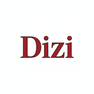 Dizi Logo